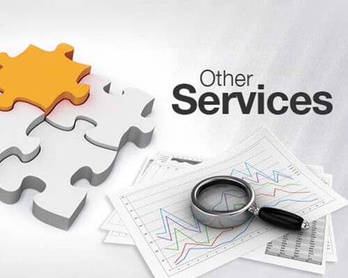 Other IT Services